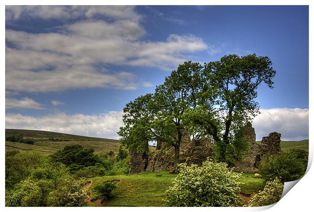 Pendragon Castle View Print by Tom Gomez