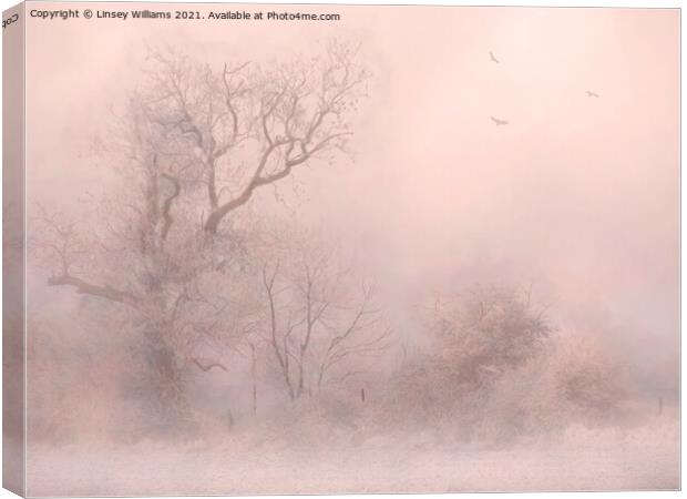 Trees in Frost and Fog Canvas Print by Linsey Williams