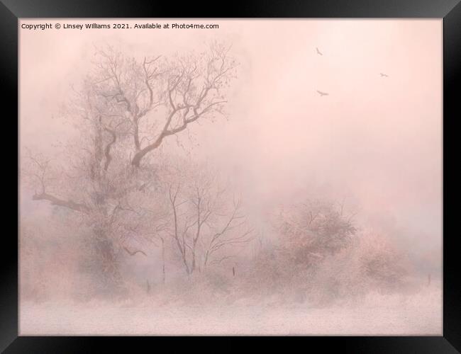 Trees in Frost and Fog Framed Print by Linsey Williams