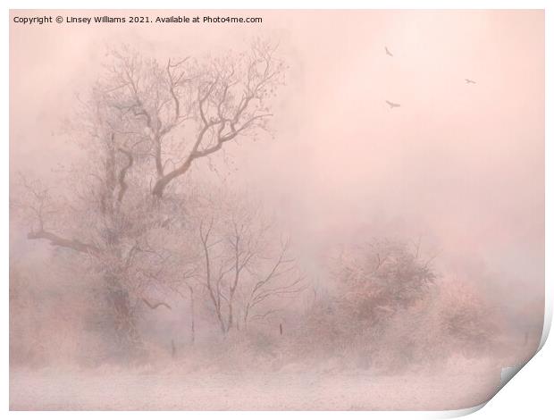 Trees in Frost and Fog Print by Linsey Williams