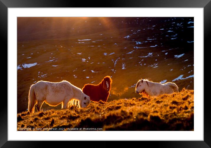  Wild Ponies of Wales Framed Mounted Print by John Henderson