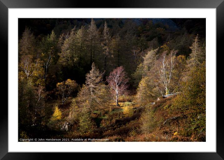 Enchanting Autumn Birch Forest in the Lake Distric Framed Mounted Print by John Henderson