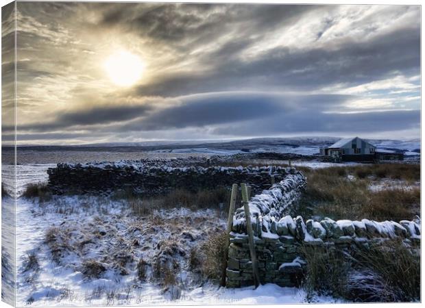 The hills above Stanhope in Weardale Canvas Print by EMMA DANCE PHOTOGRAPHY