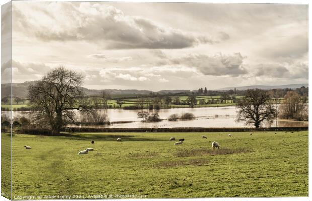 Floods at Lugg Meadows, Hereford Canvas Print by Adele Loney