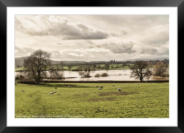 Floods at Lugg Meadows, Hereford Framed Mounted Print by Adele Loney