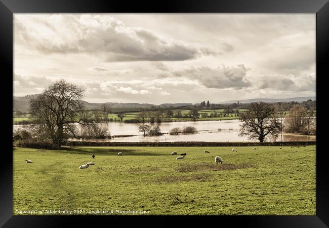 Floods at Lugg Meadows, Hereford Framed Print by Adele Loney