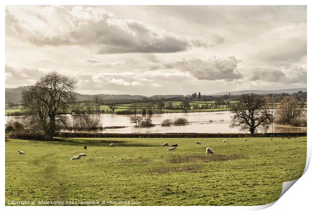 Floods at Lugg Meadows, Hereford Print by Adele Loney