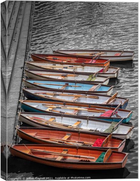 Row boats in a row Canvas Print by Milton Cogheil