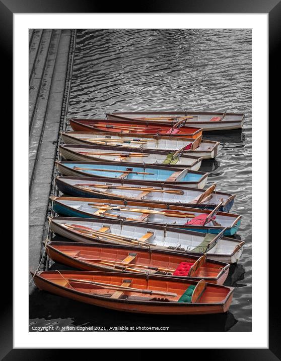 Row boats in a row Framed Mounted Print by Milton Cogheil
