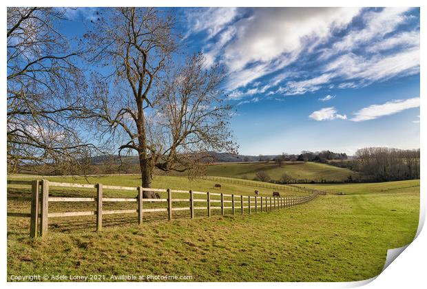 Herefordshire Countryside under a blue sky Print by Adele Loney