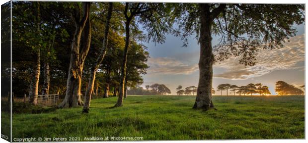 Morning light in the meadow Canvas Print by Jim Peters