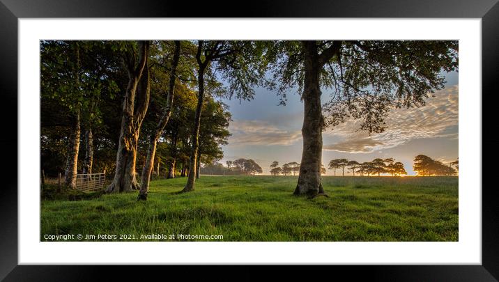Morning light in the meadow Framed Mounted Print by Jim Peters