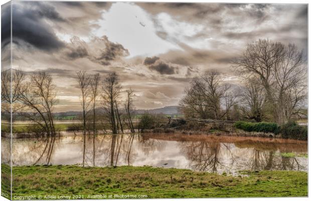 Reflections in the floods Canvas Print by Adele Loney