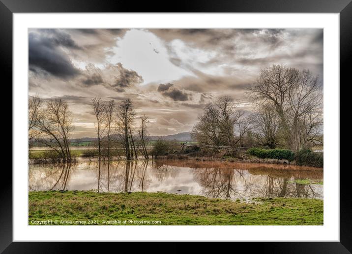 Reflections in the floods Framed Mounted Print by Adele Loney