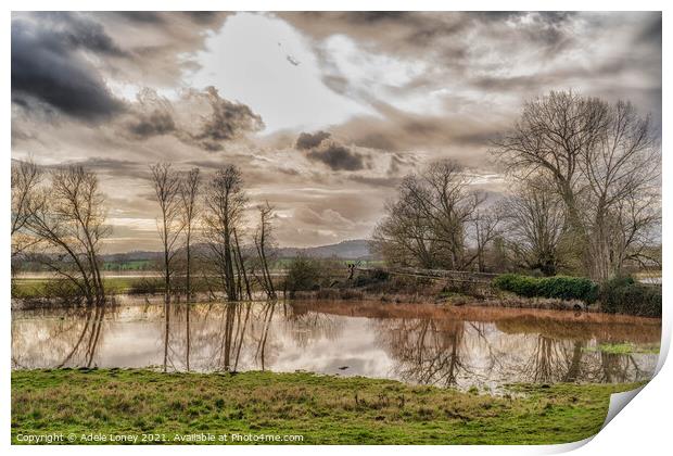 Reflections in the floods Print by Adele Loney