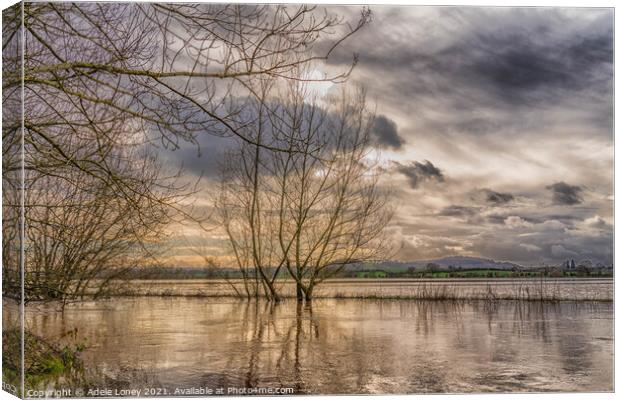 Sunset over Flooded Meadow Canvas Print by Adele Loney