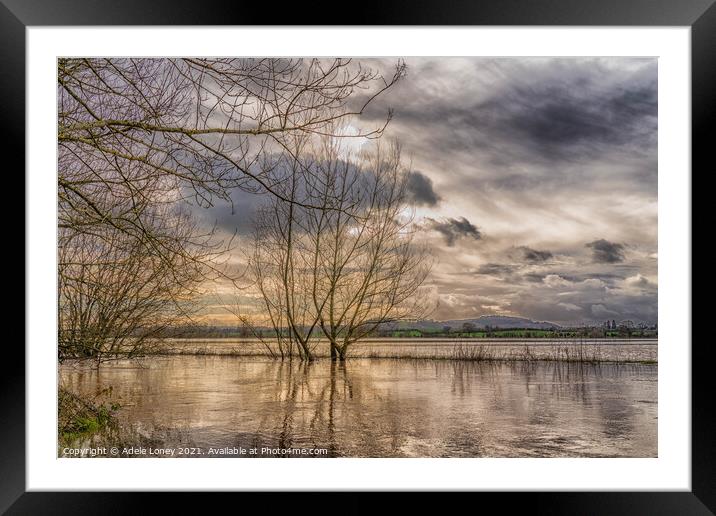 Sunset over Flooded Meadow Framed Mounted Print by Adele Loney