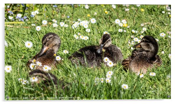 Adorable baby ducks on the grass, Three baby duckl Acrylic by kathy white