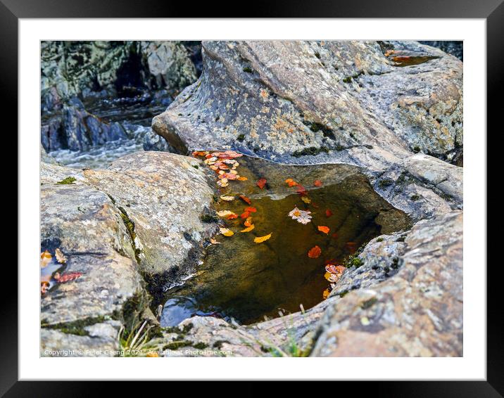Autumn leaves in river Garry Scotland.  Framed Mounted Print by Peter Gaeng