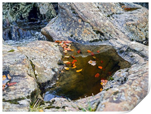 Autumn leaves in river Garry Scotland.  Print by Peter Gaeng