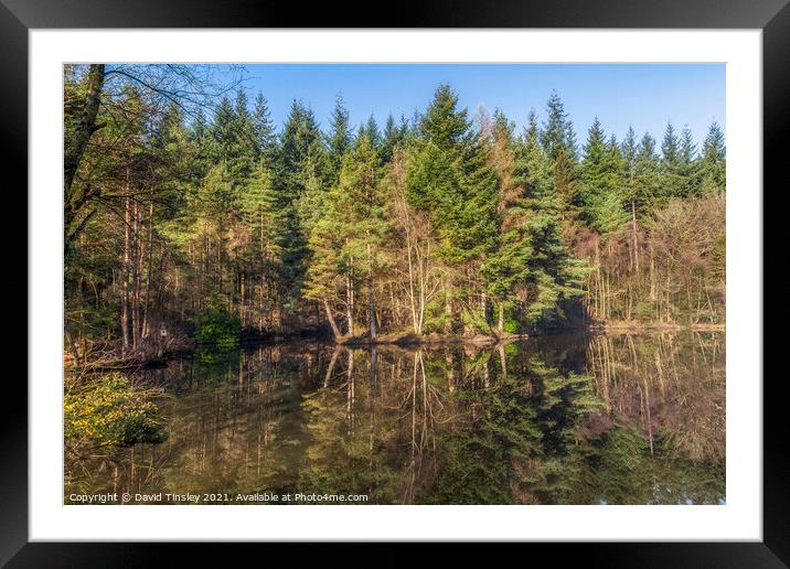 Spring Reflections Framed Mounted Print by David Tinsley