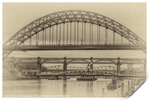 Tyne Bridges Print by david siggens