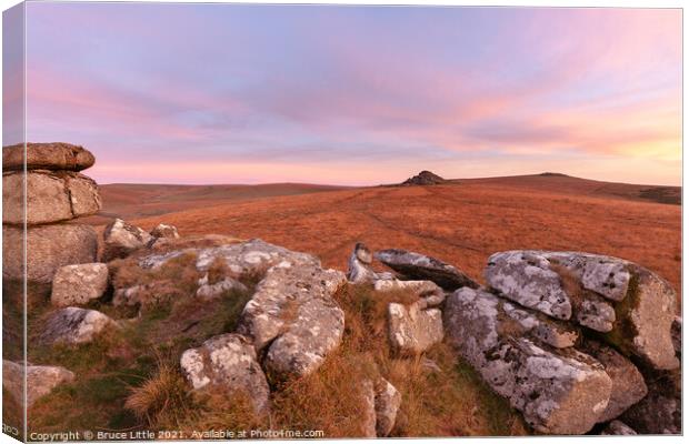 North from Littaford Tor Canvas Print by Bruce Little