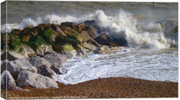 Sea waves on the rocks Canvas Print by Antoinette B