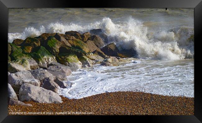 Sea waves on the rocks Framed Print by Antoinette B