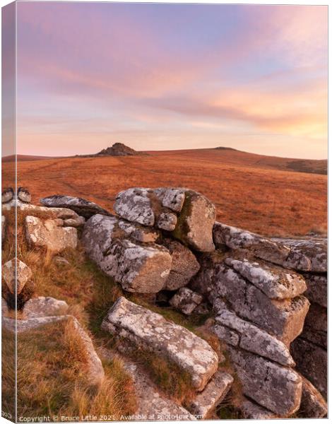 Towards Longaford Tor Canvas Print by Bruce Little