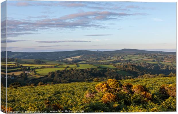 Rural Dartmoor View Canvas Print by Bruce Little