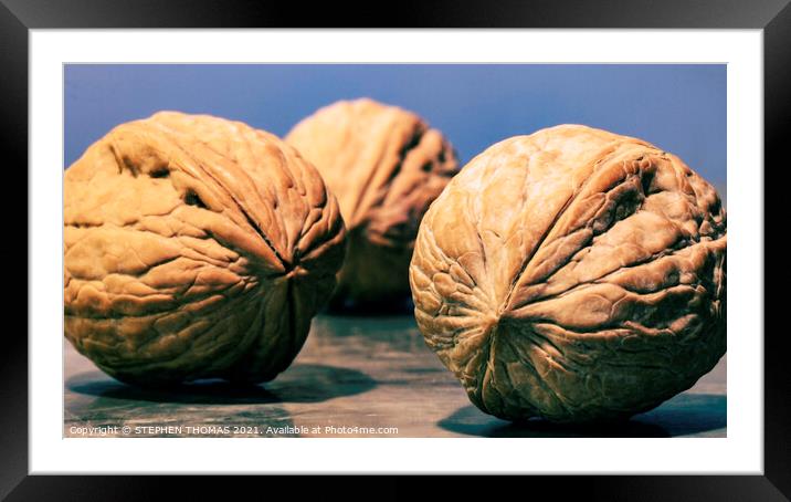 3 Walnuts Framed Mounted Print by STEPHEN THOMAS