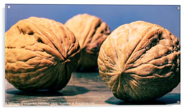 3 Walnuts Acrylic by STEPHEN THOMAS