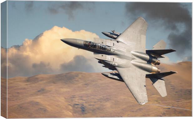 F15 Eagle Canvas Print by Rory Trappe