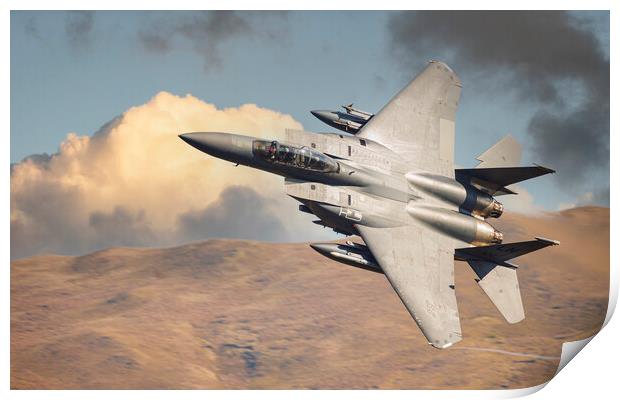 F15 Eagle Print by Rory Trappe