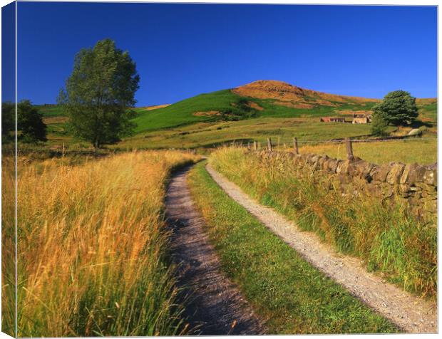 Footpath to Callow Bank  Canvas Print by Darren Galpin