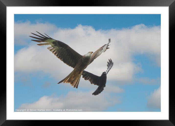 Aerial Battle Red Kite vs Crow Framed Mounted Print by Simon Marlow