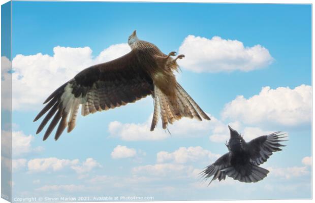 Aerial Battle Red Kite vs Crow Canvas Print by Simon Marlow