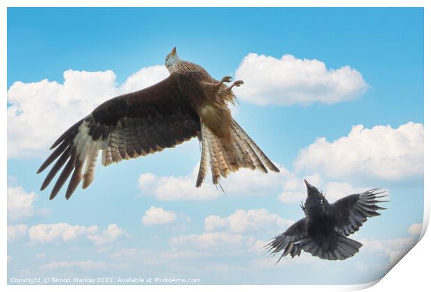 Aerial Battle Red Kite vs Crow Print by Simon Marlow