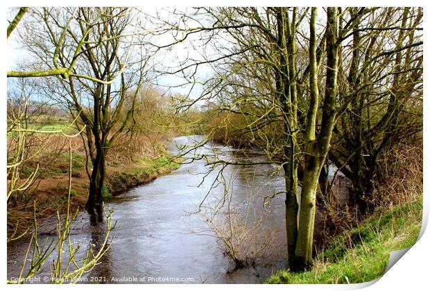 River Wyre in Spring  Print by Pelin Bay