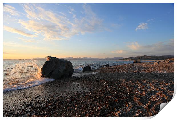 rocky beach at Shell Island Print by terrylee davis