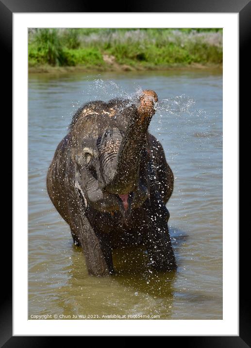 Elephant bath in river in Chiwan national park, Nepal Framed Mounted Print by Chun Ju Wu