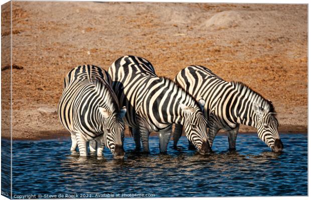 Burchells zebra Equus quagga burchellii Canvas Print by Steve de Roeck