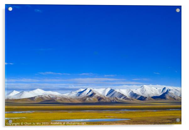 The landscape of Tibetan Plateau in Tibet Acrylic by Chun Ju Wu