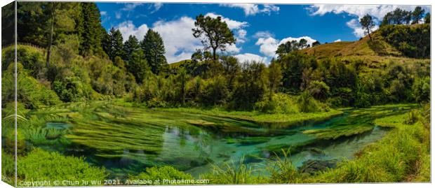 Panorama of Blue Spring, the river with the purest water in New Zealand, Te Waihou Walkway, Hamilton, Waikato Canvas Print by Chun Ju Wu