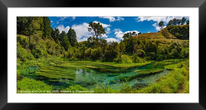 Panorama of Blue Spring, the river with the purest water in New Zealand, Te Waihou Walkway, Hamilton, Waikato Framed Mounted Print by Chun Ju Wu