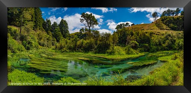 Panorama of Blue Spring, the river with the purest water in New Zealand, Te Waihou Walkway, Hamilton, Waikato Framed Print by Chun Ju Wu