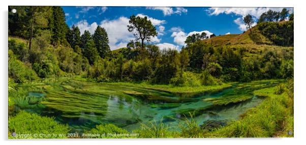 Panorama of Blue Spring, the river with the purest water in New Zealand, Te Waihou Walkway, Hamilton, Waikato Acrylic by Chun Ju Wu