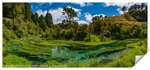 Panorama of Blue Spring, the river with the purest water in New Zealand, Te Waihou Walkway, Hamilton, Waikato Print by Chun Ju Wu