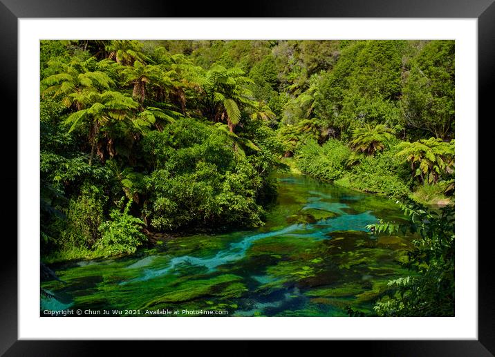 Blue Spring along Te Waihou Walkway in Hamilton, Waikato, New Zealand Framed Mounted Print by Chun Ju Wu